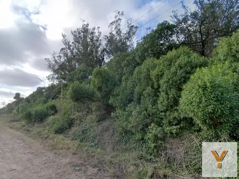 Terreno en Venta en Mar del Plata, Partido de General Pueyrredón