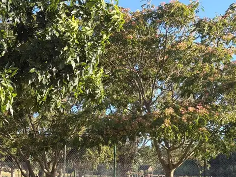 Casa en Alquiler A Estrenar