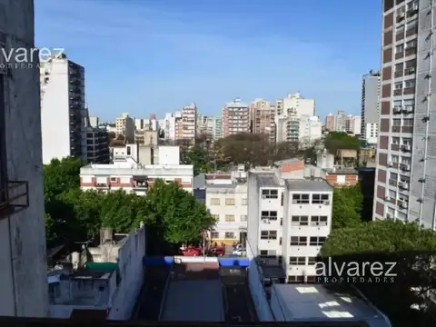 Álvarez Jonte 300