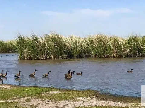 Campos de La Enriqueta