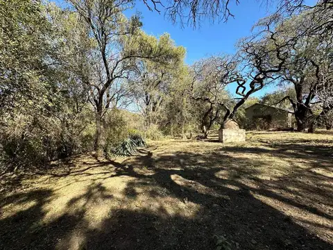 Terreno en Venta 40  mts Frente