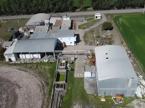 101 100