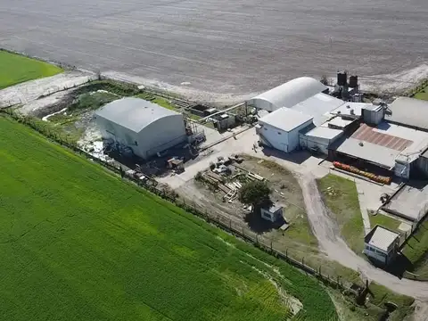 Se venden galpones para desarrollar o potenciar