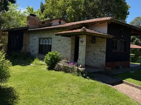 Pisco 300