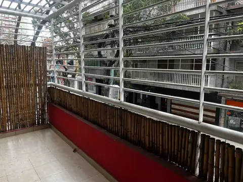 Curapaligüe 100