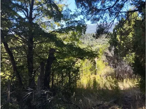 Terreno en Venta 50  mts Fondo