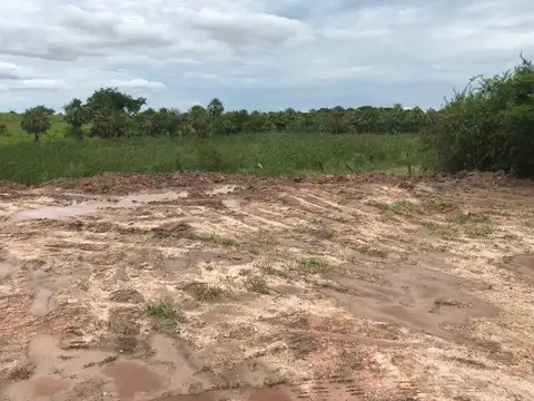 Terreno en Alquiler 12  mts Frente