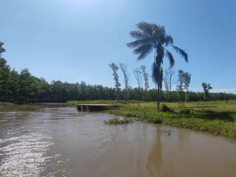 Terreno en Venta de 1371,0 m2