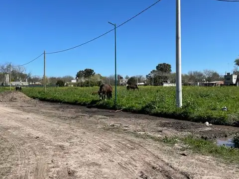 453 e/ 26 y 27 - LOTE CITY BELL (Barrio Tacuari)