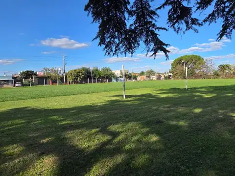 VENTA TERRENO FRACCION 4 HECTAREAS  - TRUJUY MORENO