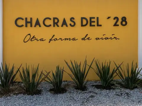 Terreno en Venta en Villa Alsina, USD 40.000
