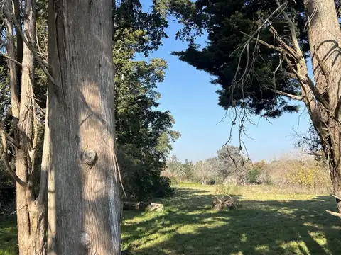 Terreno - Venta - Argentina, La Plata - RUTA 2