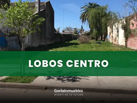 LOTE CENTRICO - OPORTUNIDAD - IDEAL INVERSORES - LOBOS -