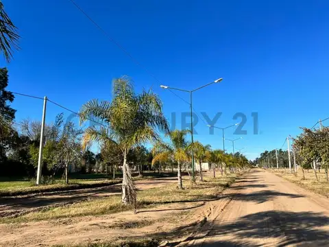 RUTA PROVINCIAL N° 1 KM 36 100