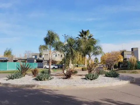 Ultimo Lote del Barrio Liceo Rugby II