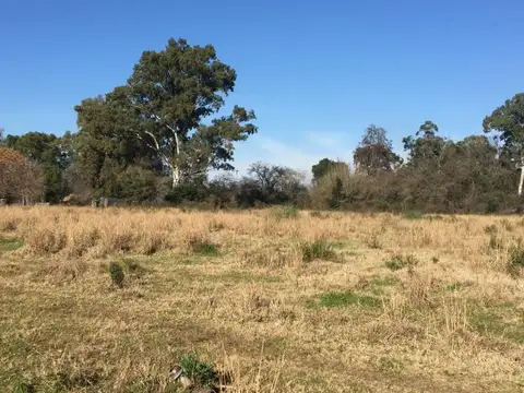 Campo en Alquiler de 50.000m2 ubicado en Belén de Escobar