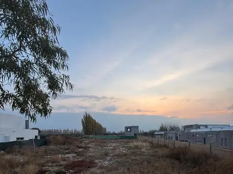 Terreno en Venta en Lujan de Cuyo, Luján de Cuyo