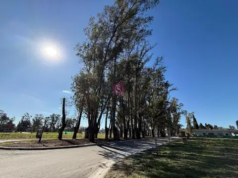 Terreno en Venta de 500,0 m2