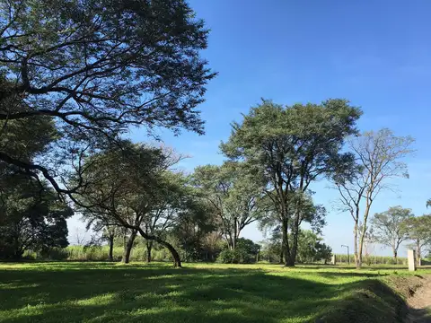 Terreno en Venta 32  mts Frente