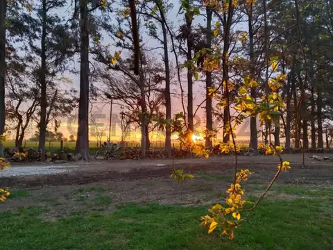 Terreno en Venta en Campos De Rodriguez, USD 12.000