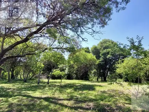 Sin nombre Lote 4 mza 417 Potrerillo Lareta 1