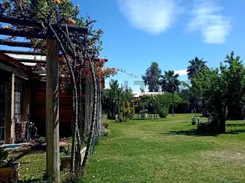 Quinta en Venta en Maipú, USD 85.000