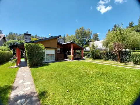 494 y 224 100