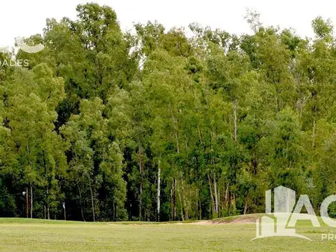 Terreno en Venta de 1009,0 m2