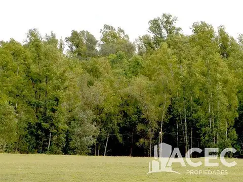 Terreno en Venta de 1009,0 m2