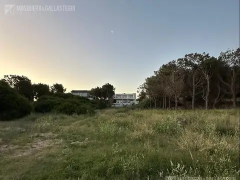 Lote en Marítimo II