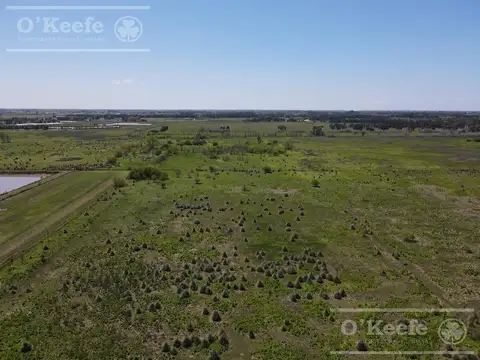 Terreno en Venta de 14290,0 m2
