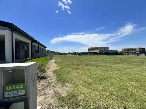 av arturo illia  al 500