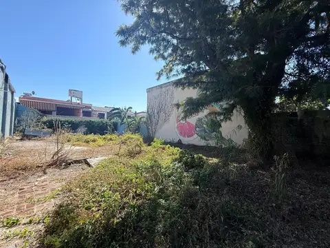 Avenida Eudoro Carrasco al 3900