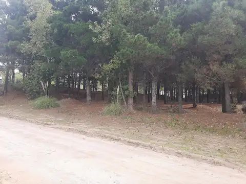 Terreno en Venta 50  mts Fondo