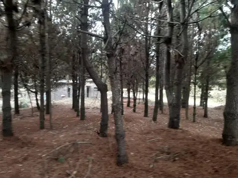 Terreno en Venta San Bernardo