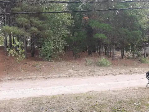 Calle 18 ENTRE GUTIERREZ Y FRIAS