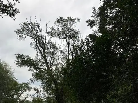 Terreno en Venta de 512,0 m2