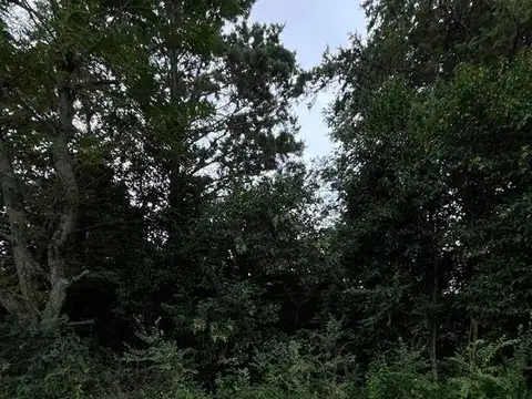 Terreno en Venta en Villa General Belgrano, USD 24.900