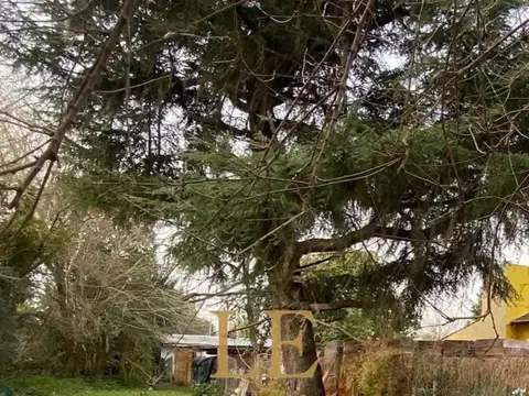 Venta Terreno Ing.Maschwitz