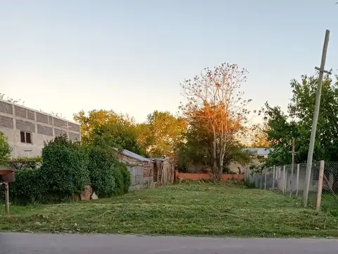 Terrenos y Lotes en Venta en Tolosa [Cod: 528]