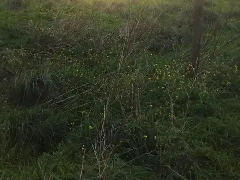 VENDO 6 LOTES JUNTOS O SEPARADOS en QUEQUEN - NECOCHEA