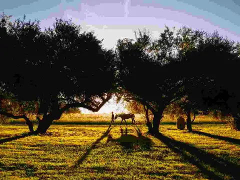 Terreno en Venta de 1500,0 m2