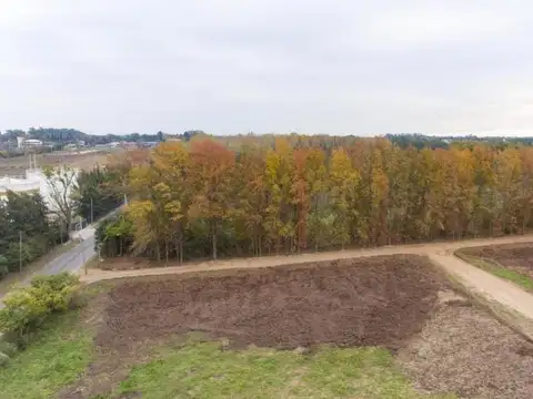 Terreno en Venta 15  mts Frente