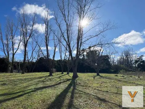 Campo en venta - 49.140Mts2 - Mercedes