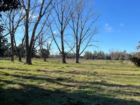 Campo en venta - 49.140Mts2 - Mercedes