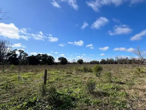 Campo en Venta en Mercedes, Partido de Mercedes