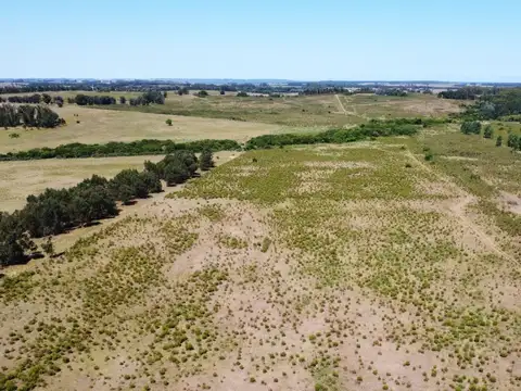 Venta de chacra 11.4 ha Ruta 104/Manantiales.
