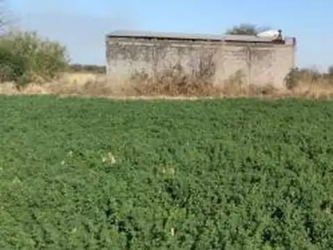 Campo - La Banda