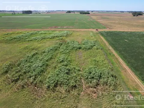 Campo  en venta Mixto de 246 has en Saladillo