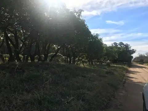 Terreno en Venta de 300,0 m2